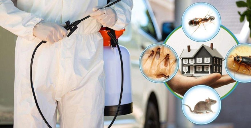 Gümüldür Böcek İlaçlama