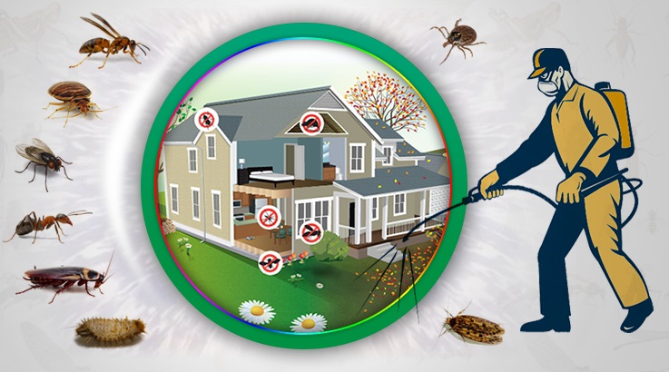 Gümüldür Böcek İlaçlama