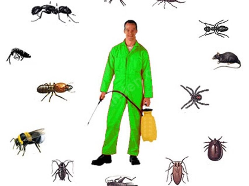 Gümüldür Böcek İlaçlama